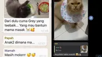 6 Chat Ibu ke Grup Keluarga Bahas Kucing Ini Bikin Tepuk Jidat (sumber: Twitter/nvitaaw/twitkocheng)