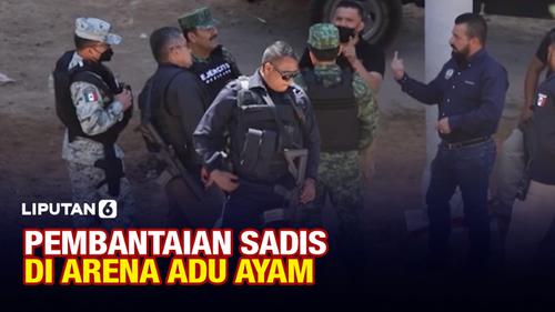 VIDEO: Sadis! 20 Nyawa Melayang di Arena Adu Ayam