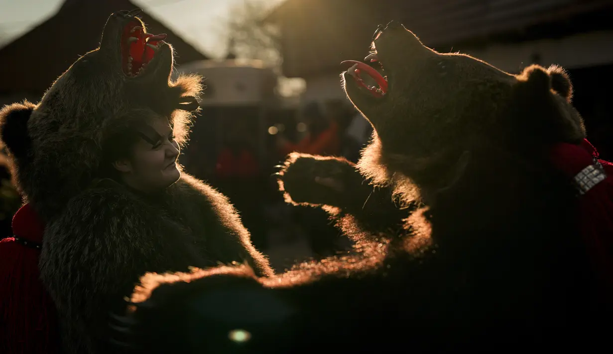 Orang-orang yang mengenakan kostum bulu beruang bersiap untuk parade di Comanesti, Rumania, Jumat, 30 Desember 2022. Dalam tradisi pedesaan pra-Kristen, para penari yang mengenakan kostum berwarna atau kostum bulu binatang pergi dari satu rumah ke rumah lain di desa-desa, bernyanyi dan menari untuk mengusir kejahatan. (AP Photo/Vadim Ghirda)