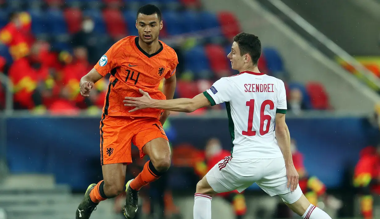 Cody Gakpo. Striker berusia 22 tahun yang telah 4 musim membela PSV Eindhoven ini belum sekalipun memperkuat Belanda di level senior. Penampilan apiknya bersama PSV menjadi referensi pelatih Frank de Boer untuk memanggilnya dalam skuat. (AFP/Ferenc Isza)