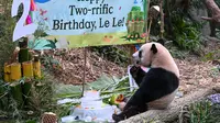 Nama panda jantan itu berasal dari istilah China kuno “shi le po” yang merupakan nama China kuno untuk Singapura. (Photo by Roslan RAHMAN / AFP)