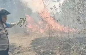 2 Hektare Taman Nasional Way Kambas Terbakar