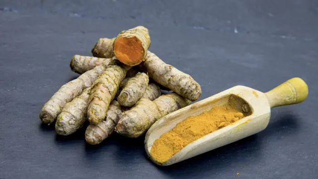 Manfaat Temulawak bagi Kesehatan