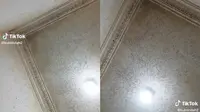 Mirip Peternakan, Potret Plafon Rumah Penuh Nyamuk Ini Bikin Merinding