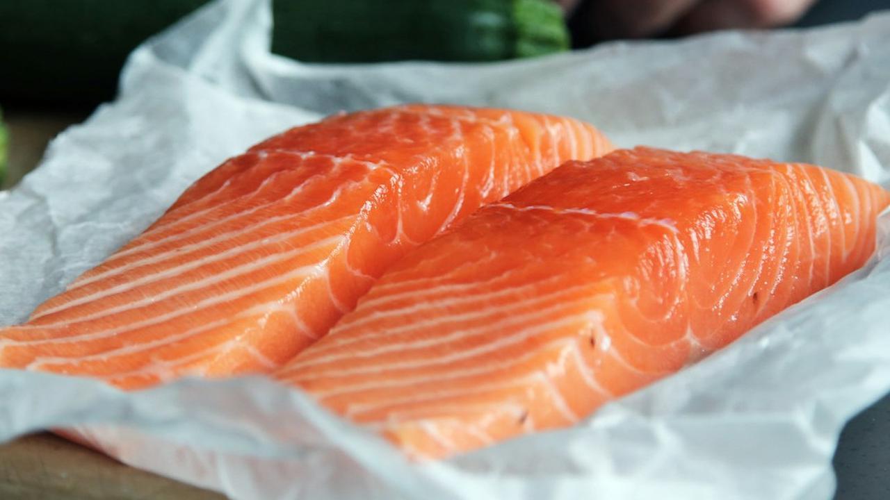 Salmon