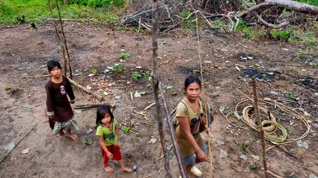 Asa Suku Batin Sembilan di Hutan Harapan