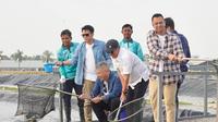 Menteri Kelautan dan Perikanan Sakti Wahyu Trenggono bersama Utusan Khusus Presiden Bidang Pembinaan Generasi Muda dan Pekerja Seni, Raffi Ahmad serta kelompok The Dudas-1, yakni Ariel Noah, Gading Marten, dan Desta meninjau lokasi modeling budidaya nila salin (BINS) di Karawang, Jawa Barat. (Dok. KKP)