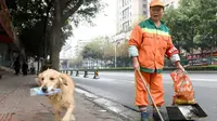 Aksi Mulia Anjing Jenius Ini Layak Kita Teladani