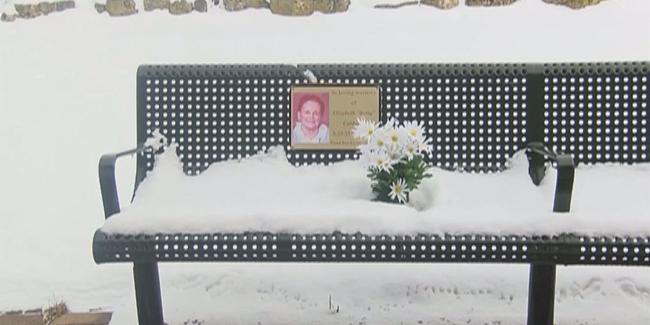 Foto: copyright myfoxdetroit.com