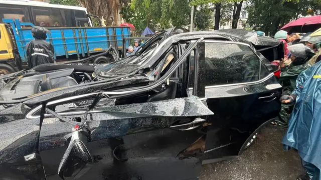 Pohon Tumbang Timpa Mobil Mewah, Satu Orang Tewas