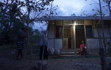 Setahun Berdampak: Listrik Desa Hadirkan Terang dan Kesetaraan Energi untuk Warga Pelosok