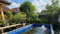 Ide Usaha Ikan Nila untuk Pensiunan Pemula: Raih Cuan Produktif di Masa Senja