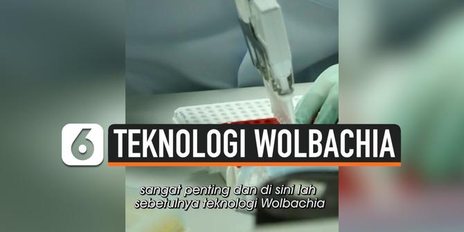 VIDEO: Harapan Baru, Teknologi Wolbachia Tekan Kasus DBD Hingga 77 Persen