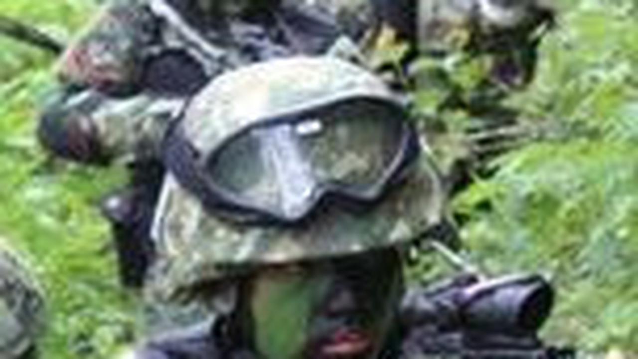 Kontak Senjata dengan TNI-Polri di Pegunungan Bintang, Empat Anggota KKB Tewas
