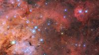 Tarantula Nebula. Dok: NASA