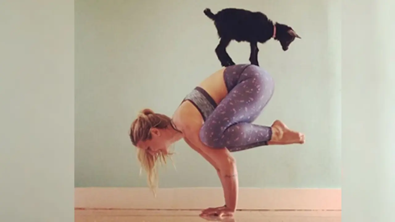 pose yoga