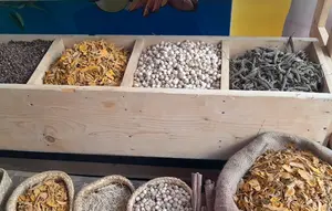 BRIN Dorong 19 Obat Herbal untuk Naik Kelas