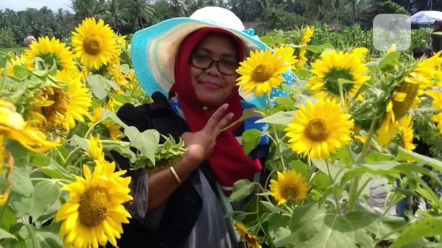 dewari