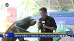 Perbarui informasi Anda bersama Fokus edisi (06/01) dengan topik-topik sebagai berikut, Tebing 25 Meter Longsor, Warga Mengungsi, Jalur Kereta Api Cicalengka kembali Beroperasi, Berlibur di Wahana Ekstrem.