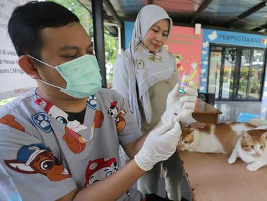 Seorang dokter hewan bersiap menyuntikkan vaksin rabies pada seekor kucing milik warga di Ruang Publik Terpadu Ramah Anak (RPTRA) Manggarai, Jakarta, Senin (14/10/2025). (merdeka.com/Arie Basuki)