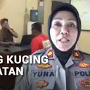 Kesal Kucing Liar BAB di Kasur, Pria di Semarang Tega Lempar Kucing ke Sungai