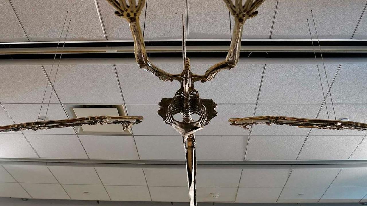 Pteranodon memiliki rentang sayap hingga enam meter.  Dia dapat terbang jarak jauh bergantung pada arus udara. 

Satwa purba ini disebut sebagai salah satu penguasa langit pada masanya.