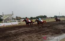 Antusiasme Tinggi di Kejuaraan Pacuan Kuda Bantul: 138 Kuda Bersaing Raih Triple Crown