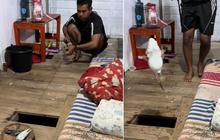 Dapat Ikan Besar, Momen Pria Mancing di Dalam Rumah Ini Curi Perhatian