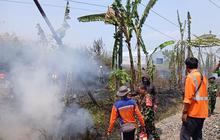 Kebakaran Lahan di Klaten Ganggu Perjalanan Kereta, KAI Buka Suara