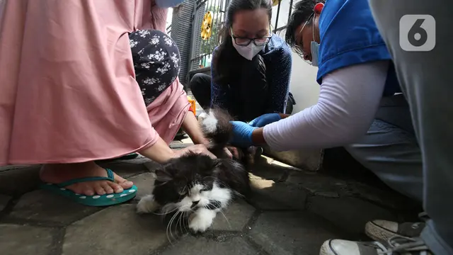 FOTO: Cegah Rabies, Hewan Peliharaan Jalani Vaksinasi Gratis di Rawa Jati