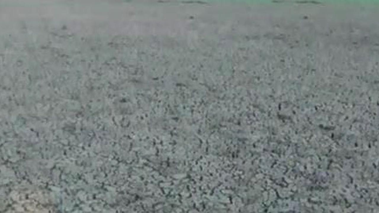 20150806-Musim Kemarau-Semarang