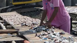 Seorang ibu tengah menjemur ikan asin di kawasan Cilincing, Jakarta Utara, Rabu (9/5). Produksi ikan asin di kawasan tersebut untuk memenuhi kebutuhan di wilayah Jabodetabek. (Liputan6.com/Angga Yuniar)