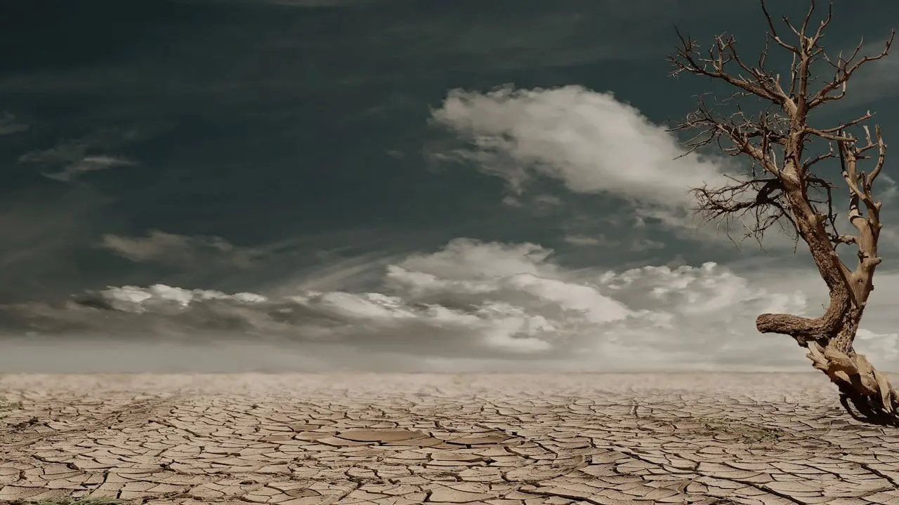 Global Warming