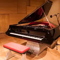 Selain keindahan suara dari piano yang dibuat  Fazioli piano dapat meningkatkan keindahan dalam setiap rumah mewah atau dimanapun ditempatkan dan akan berfungsi sebagai investasi berharga. (Liputan6.com/ Gempur M Surya)