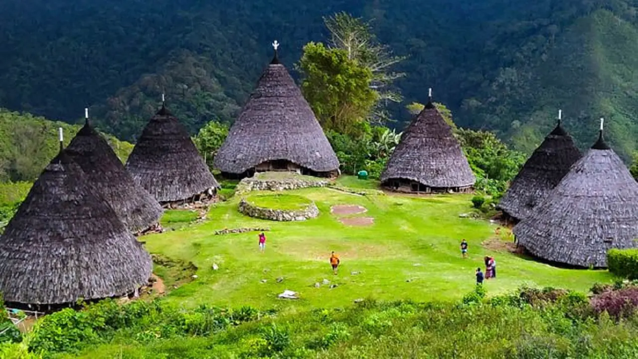 wae rebo