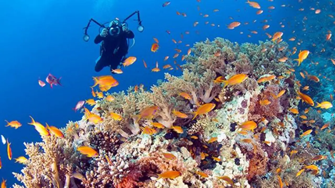 Wakatobi Targetkan 40.000 Kunjungan Wisata tahun 2017