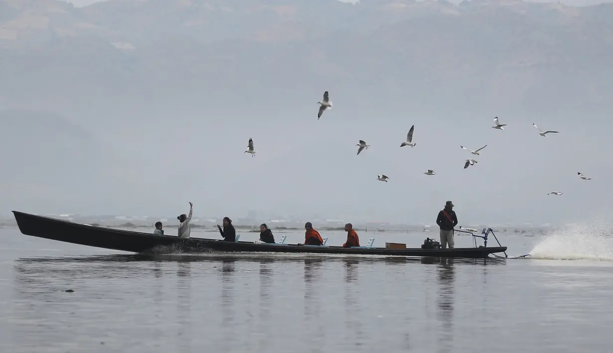 Pengunjung memberi makan burung camar di Danau Inle yang terkenal di negara bagian Shan selatan, Myanmar, Sabtu (15/1/2022). Danau Inle juga menjadi tempat persinggahan puluhan ribu burung camar pada bulan November sampai Januari.  (AP Photo)