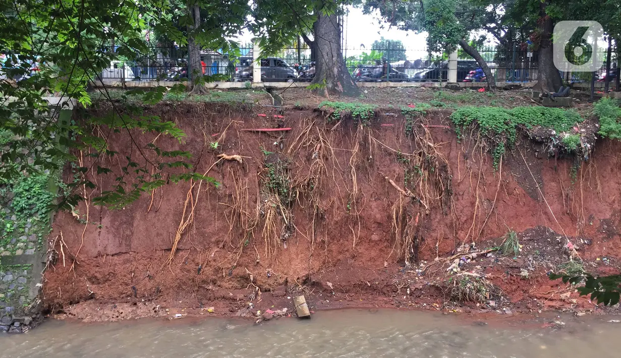 Kondisi dinding Kali Baru yang longsor di Jalan Raya Bogor, Kramat Jati, Jakarta Timur, Jumat (10/1/2020). Longsor yang terjadi akibat banjir beberapa waktu lalu tersebut berpotensi menyebabkan longsor susulan akibat tidak adanya turap yang menahan dinding kali. (Liputan6.com/Immanuel Antonius)