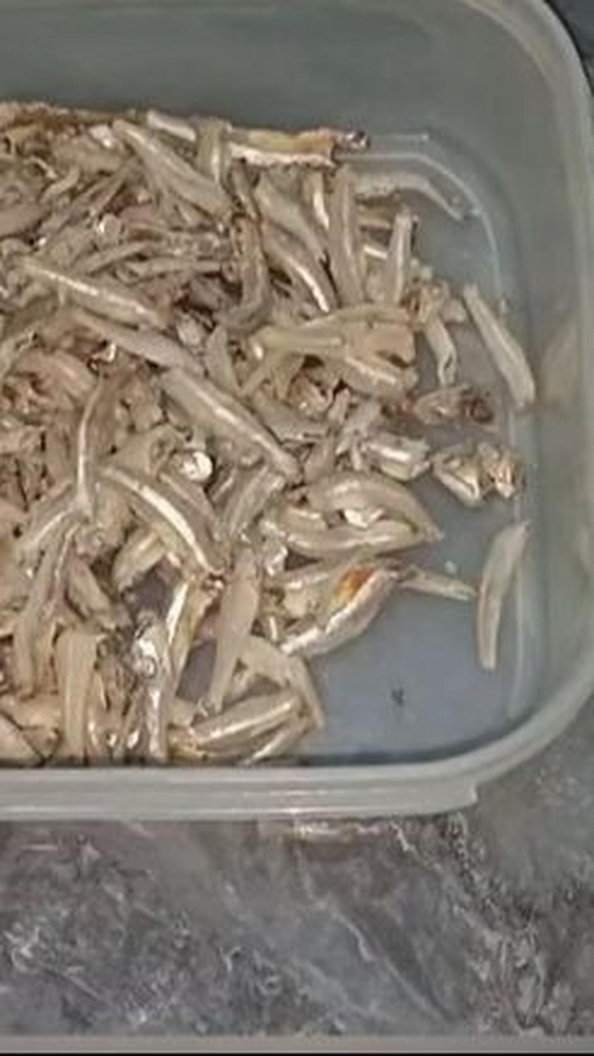 Siapkan Rendaman Air Garam