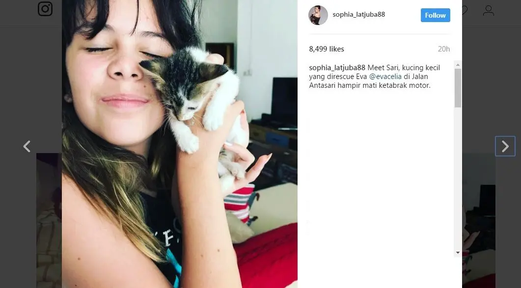 Eva Celia selamatkan anak kucing ini. [foto: instagram/sophia_latjuba88]