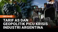 Geopolitik dan Kurs AS Tekan Industri Wine Argentina, 1.000 Kebun Anggur Tutup