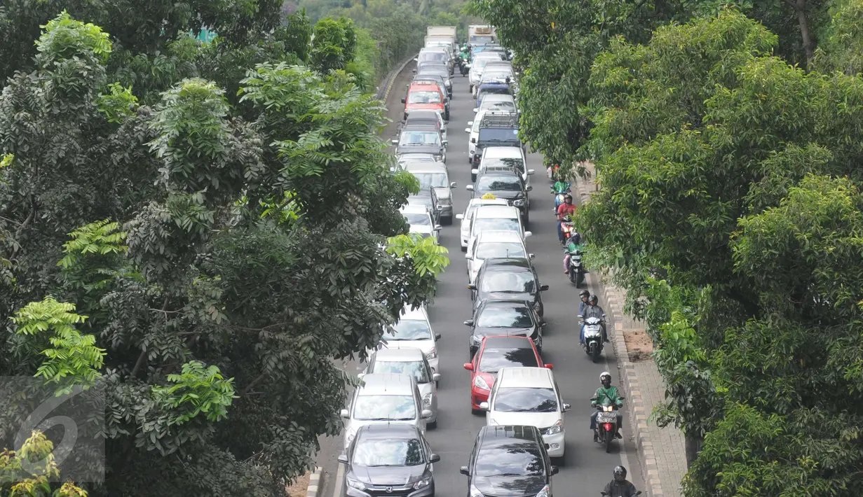 Sejumlah kendaraan yang mengarah ke pintu masuk ragunan tersendat, Jakarta, Minggu (25/12). Hal tersebut diakibatkan oleh banyaknya antrean kendaraan ke arah pintu masuk utama Ragunan. (Liputan6.com/Helmi Afandi)