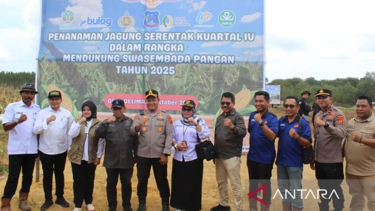 Kolaborasi Unik Pemkab Tanjabar-WKS: Tanam Jagung 9 Hektare Dukung Ketahanan Pangan Nasional
