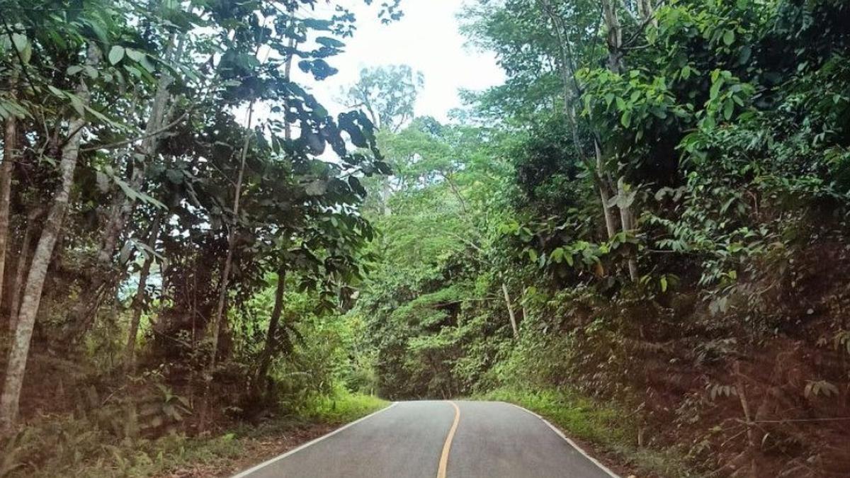 Dishut Kaltim Ungkap 5 Program Prioritas Jaga Kelestarian Ekosistem Hutan