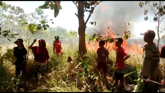 Warga yang memadamkan api yang membakar hutan di wilayah Desa Roraya (Akbar Fua/Liputan6.com)