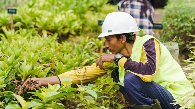 Lippo Karawaci mempercepat pengurangan emisi