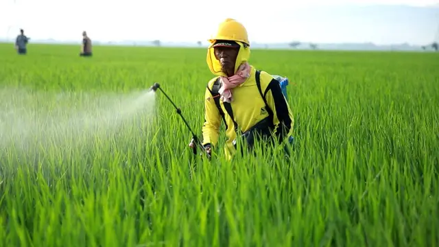 Kementan Sertifikasi Pendamping Kewirausahaan bagi Petani Muda