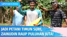 Beralih profesi dari kuli bangunan jadi petani timun suri, pria bernama Zainudin ini tak menyesal. Lewat keuletan dan pantang menyerahnya, kini Zainudin bisa raup omzet hingga Rp 20 juta dari bertani timun suri.