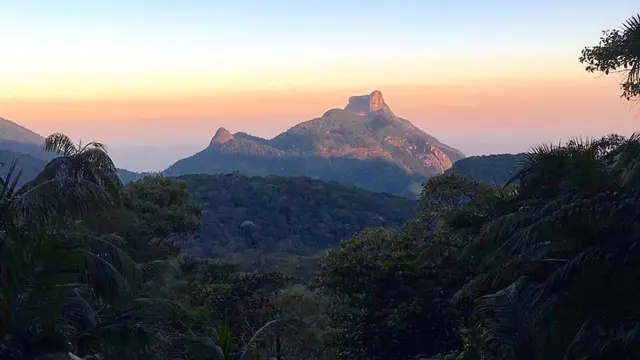 4 Negara dengan Destinasi Hutan di Tengah Kebisingan Kota
