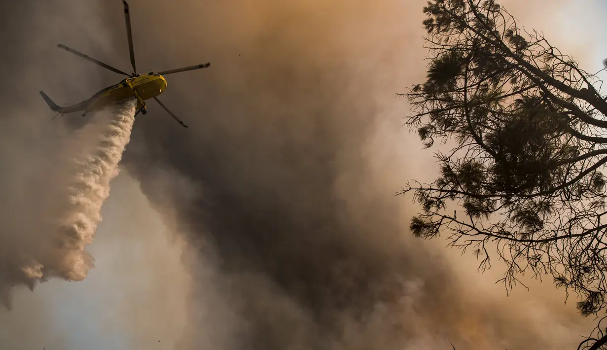Helikopter saat menyemburkan air dari atas ketinggian untuk memadamkan api di kawasan Rocky Fire, San Francisco, California, Kamis (30/7/2015). Kebakaran terletak 180 km, sebelah utara dari San Francisco. (REUTERS/Max Whittaker)